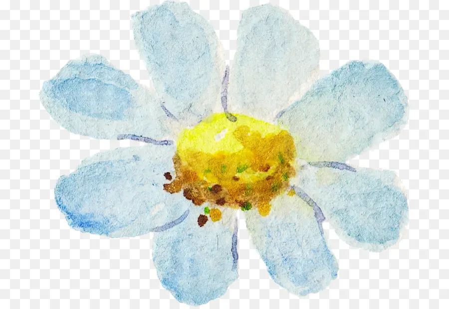 Watercolour ดอกไม้，สีวาดรูป PNG