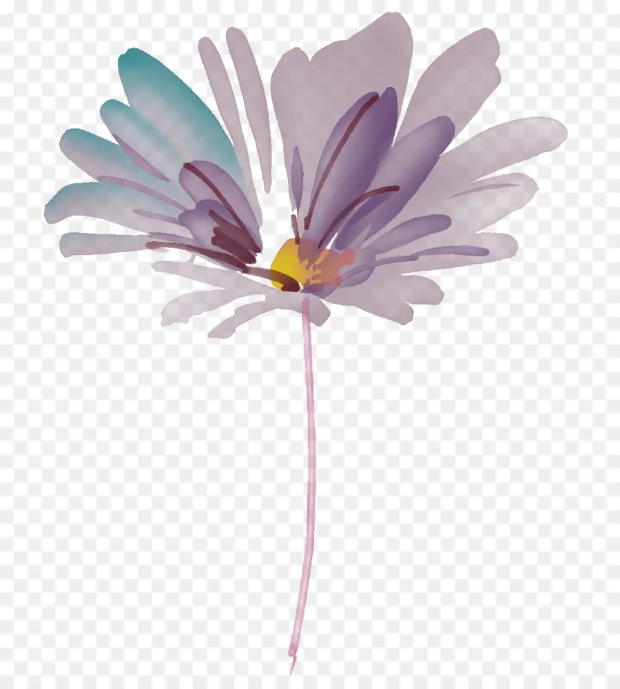 สีม่วง，ดอกไม้ PNG