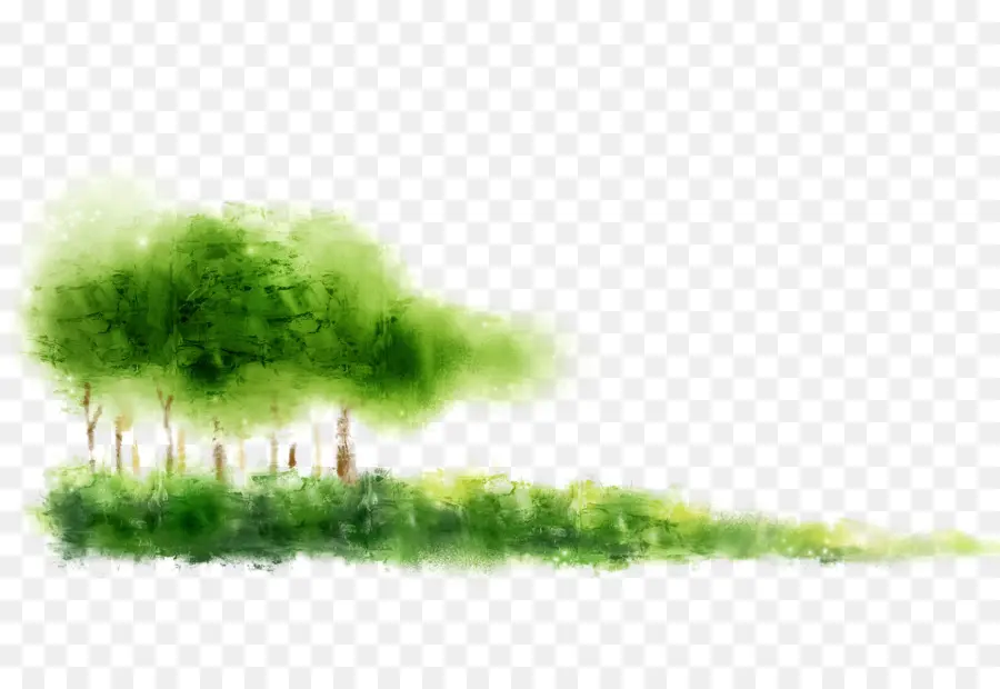สีเขียว，หุ้นของ Illustration PNG
