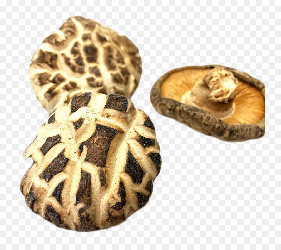 Shiitake，เห็ด PNG