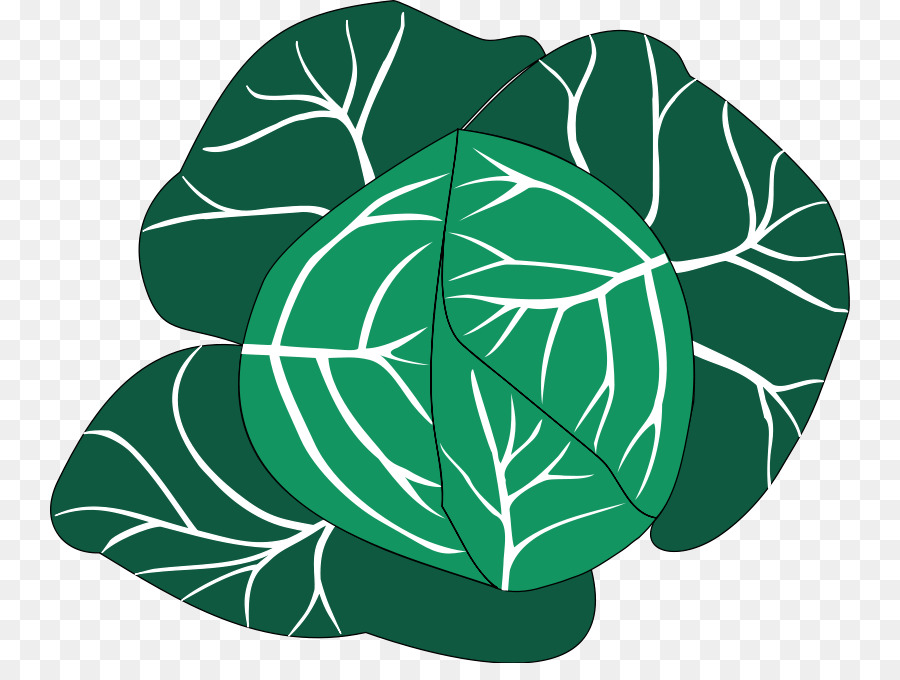 กะหล่ำ，สีแดง Cabbage PNG