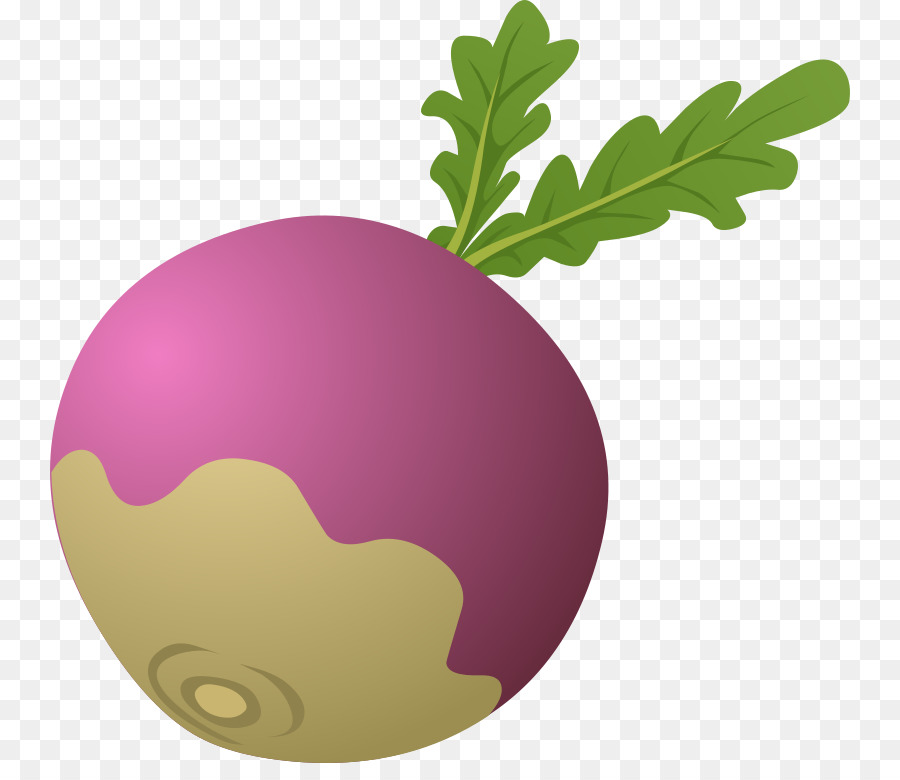 ยักษ์โมบี้ดิคของ Turnip，กาด PNG