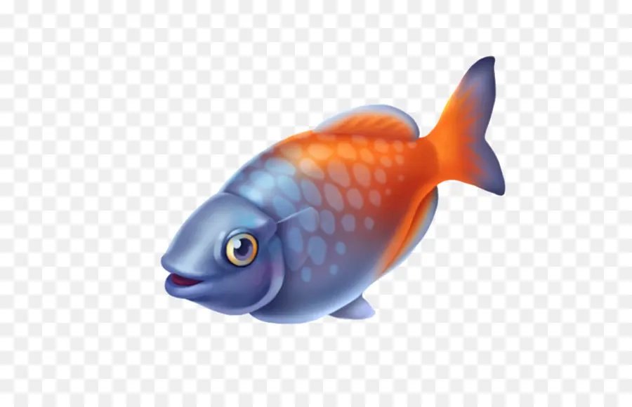 ปลาทอง，ปลา PNG