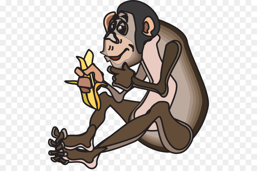 ลิงชิมแปนซี，ลิง PNG