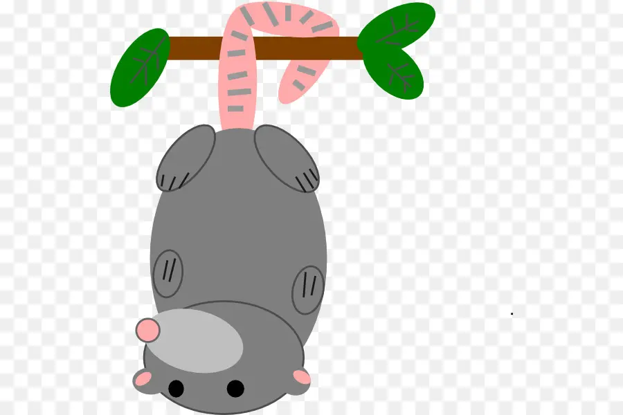 Hanging Possum，ต้นไม้ PNG