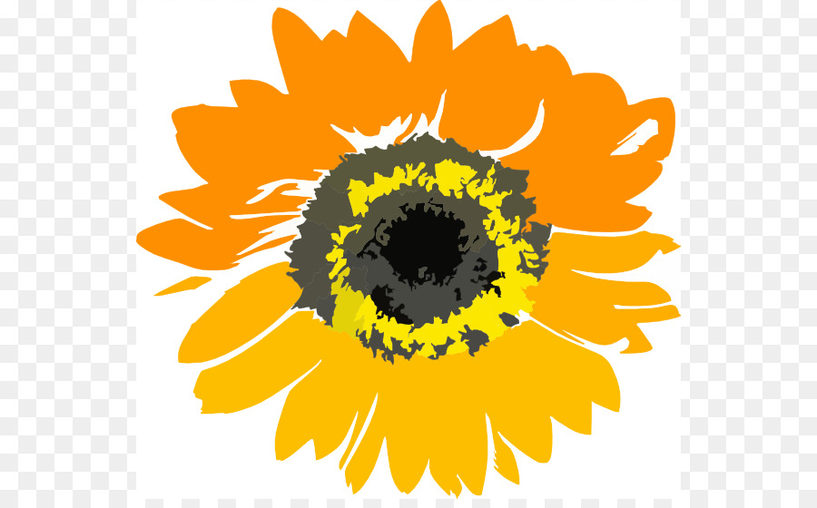 เหมือนกัน Sunflower，Sunflower Educare ศูนย์กลาง PNG