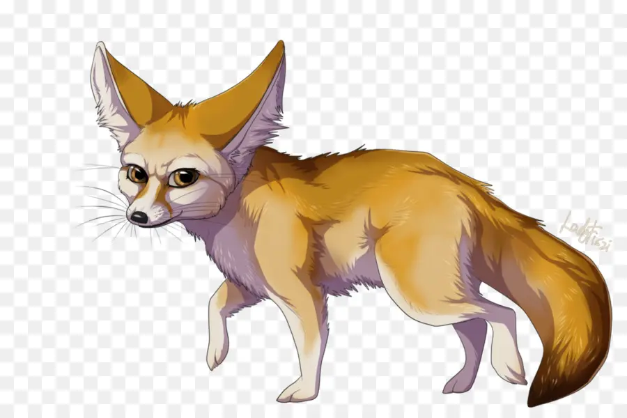 Fennec Fox，ทะเลทราย PNG