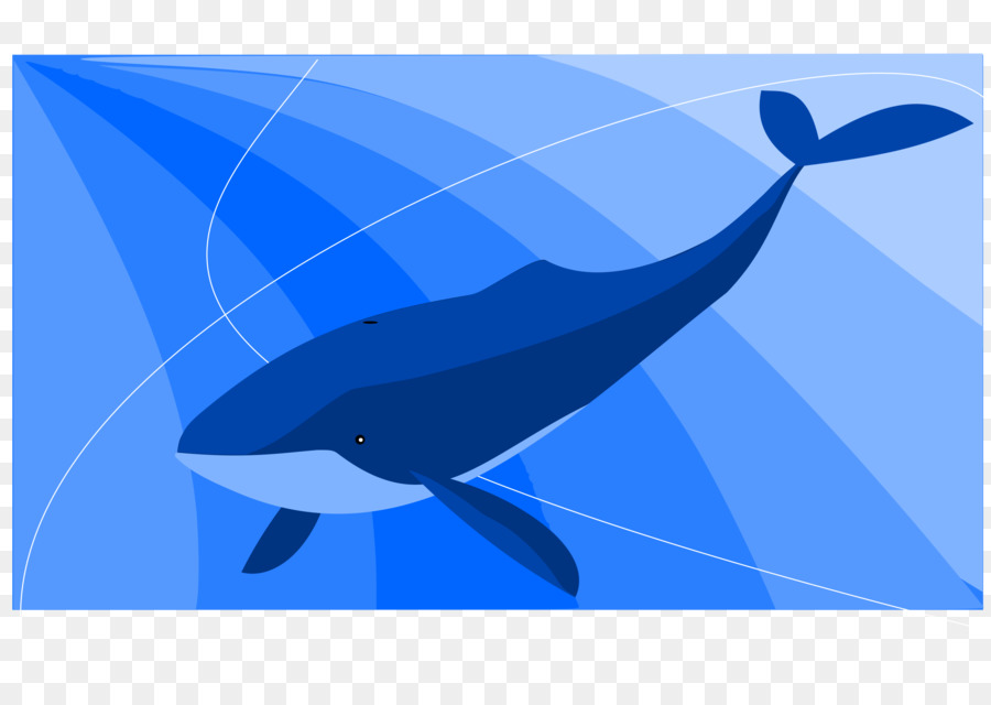 Balaenidae，สีน้ำเงินวาฬ PNG