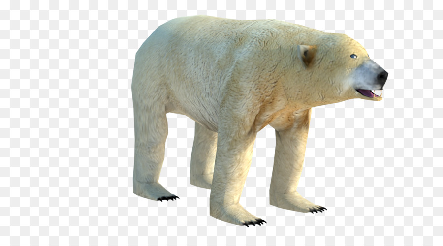 หมี，หมีขั้ว PNG