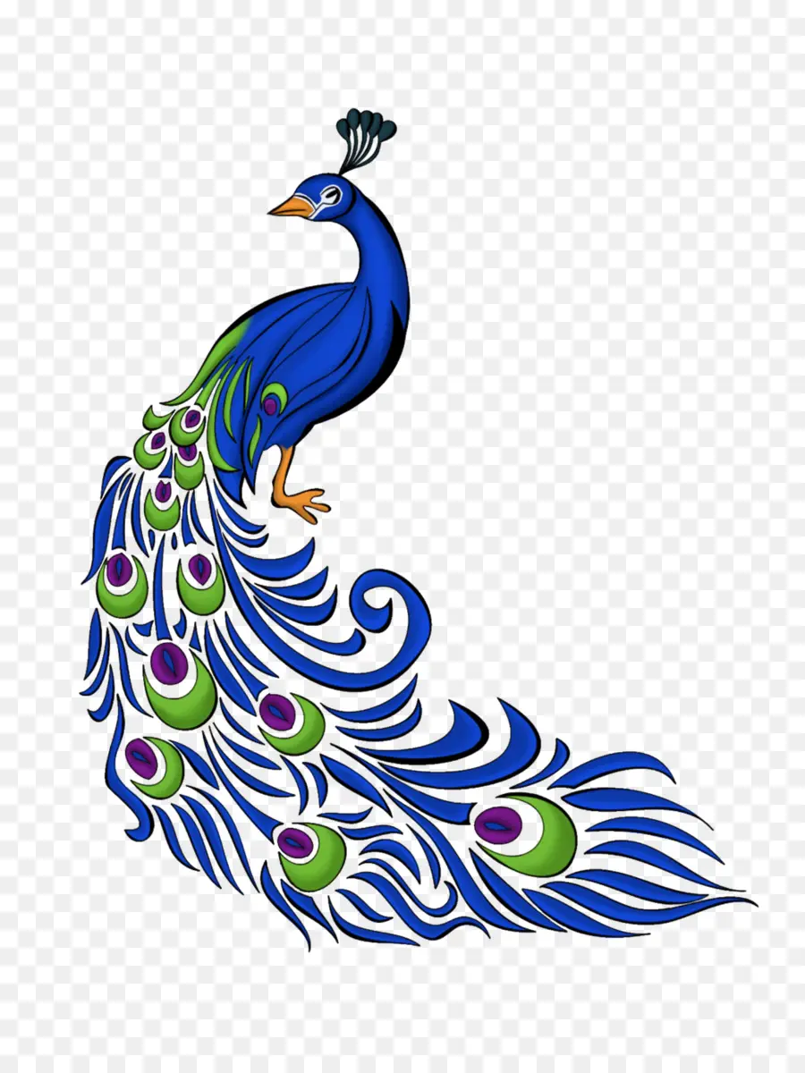 Peafowl，วาด PNG