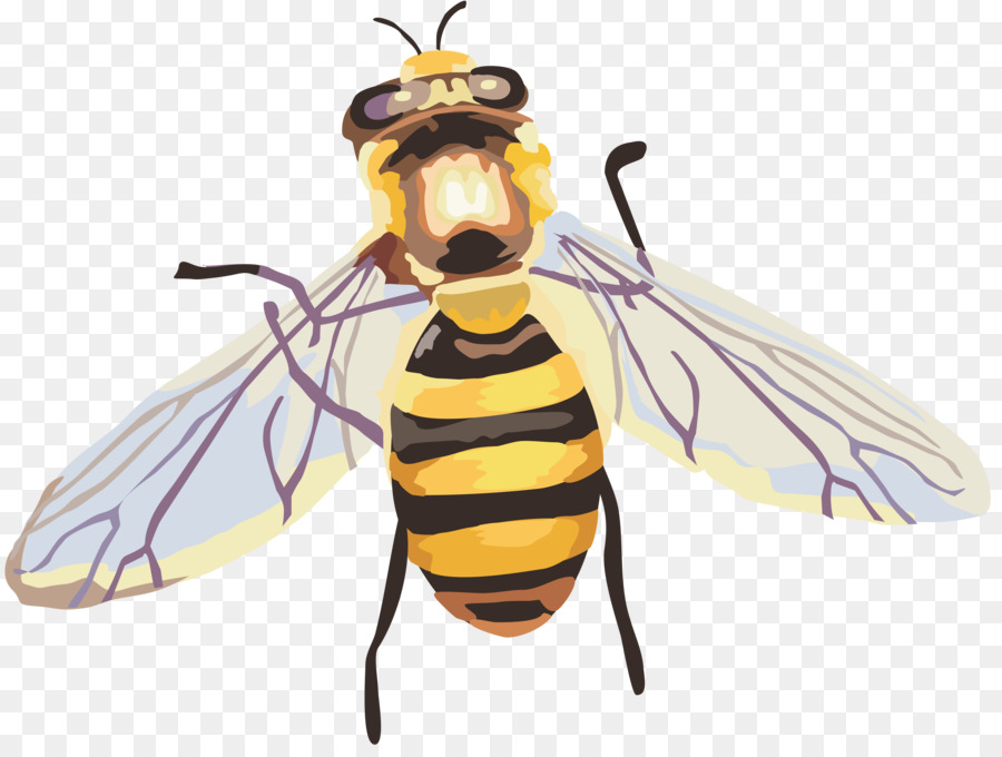 แม้แต่งานบี้แมลงวั，ที่ผึ้ง PNG