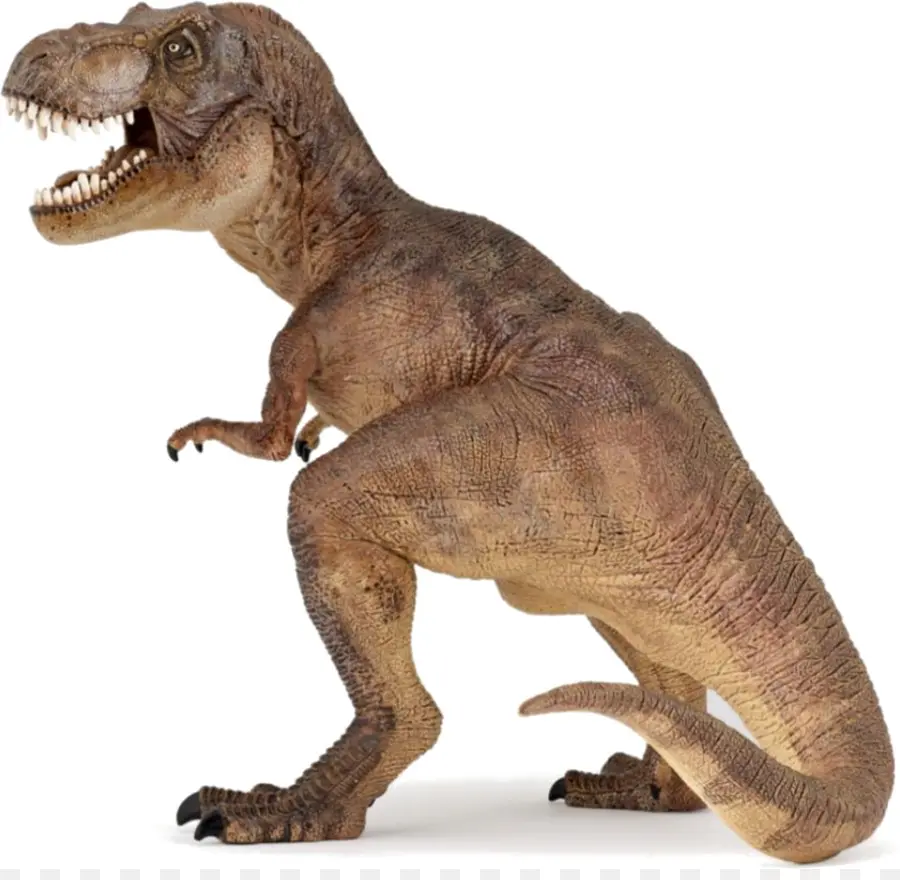 Tyrannosaurus Rex，ก่อนประวัติศาสตร์ PNG