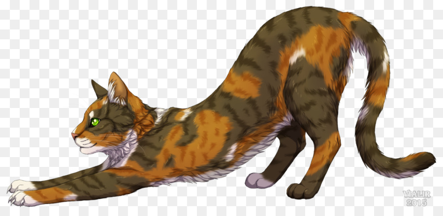 แมว，Tawnypelt PNG