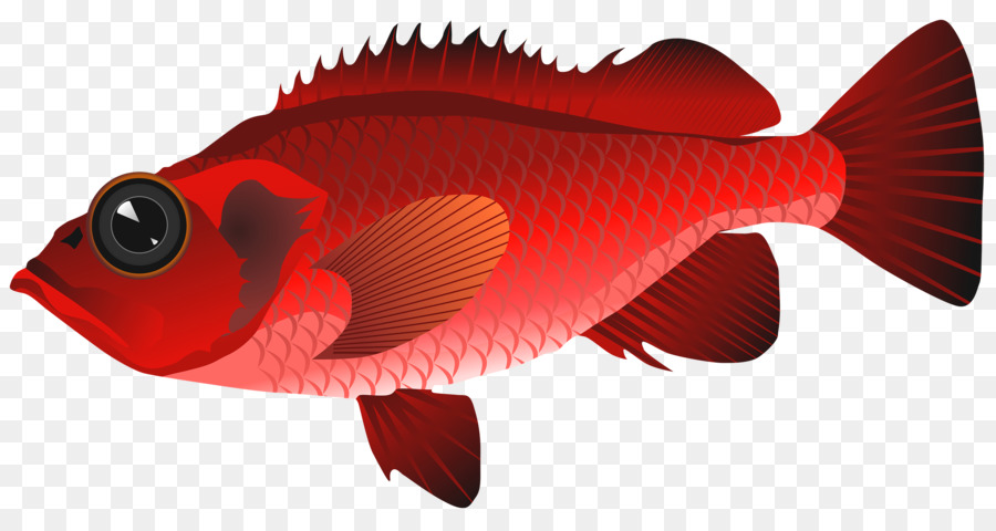 ซา，ปลา PNG
