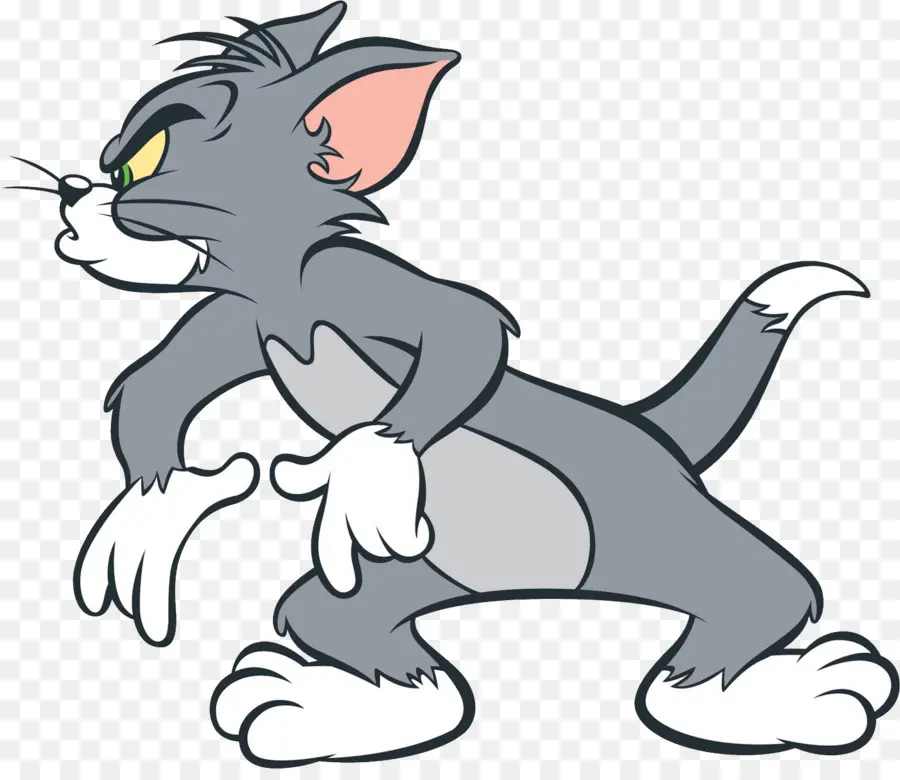แมวทอม，Jerry Mouse PNG