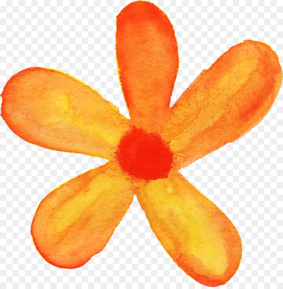 ดอกไม้，สีวาดรูป PNG