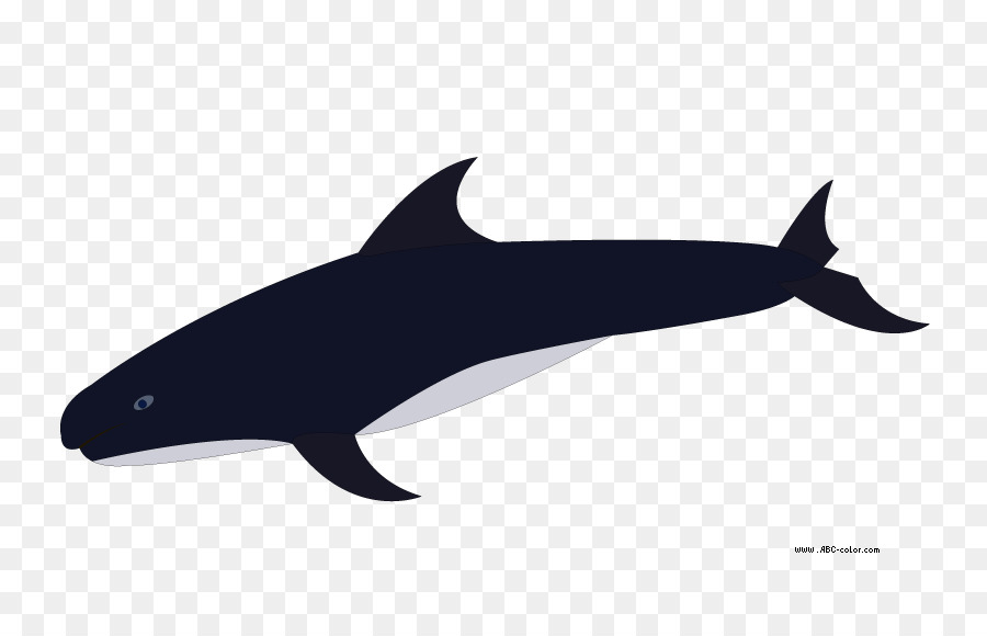 Orca，วาฬ PNG