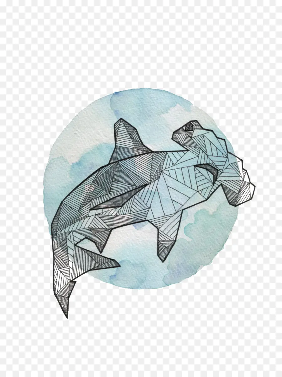 ฉลาม，สัตว์ PNG