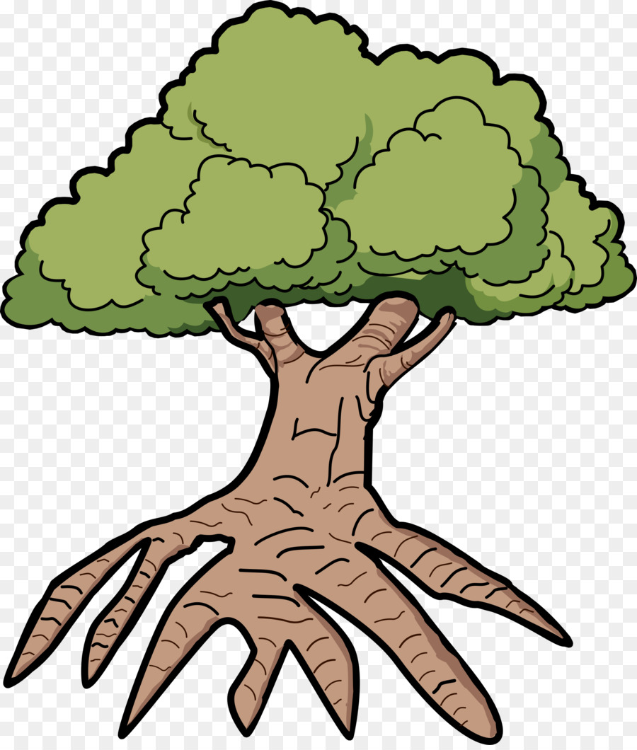 ต้นไม้，ต้นโอ๊ค PNG