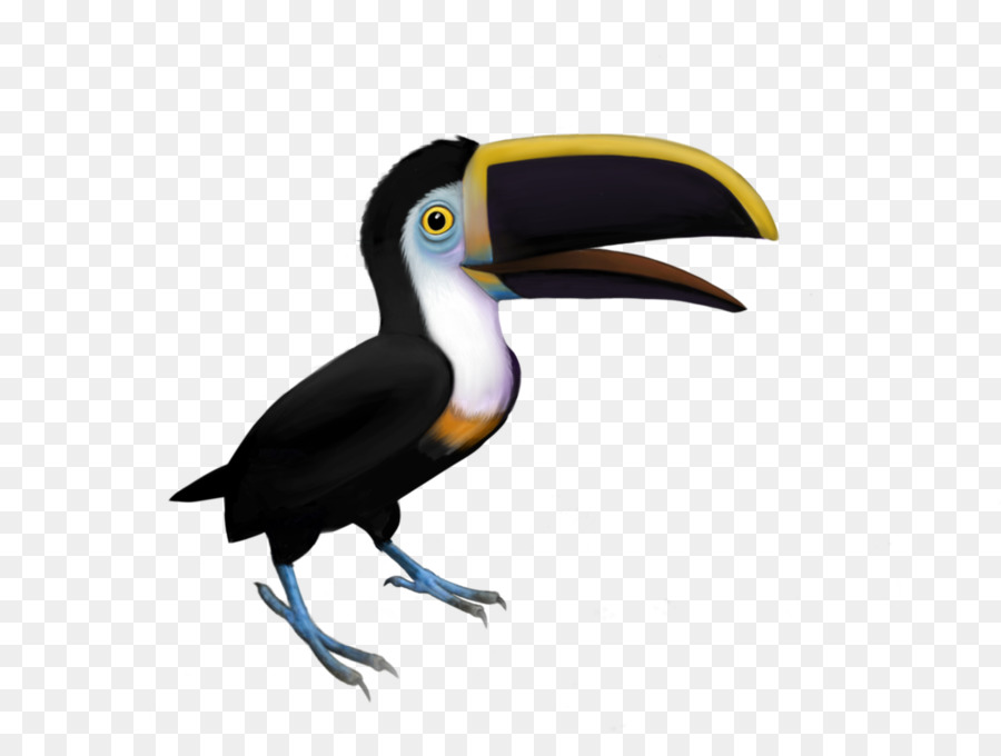 Toucan，มีสีสัน PNG