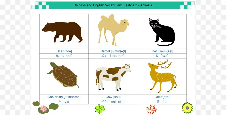 การ์ดแฟลชสัตว์，ชาวจีน PNG