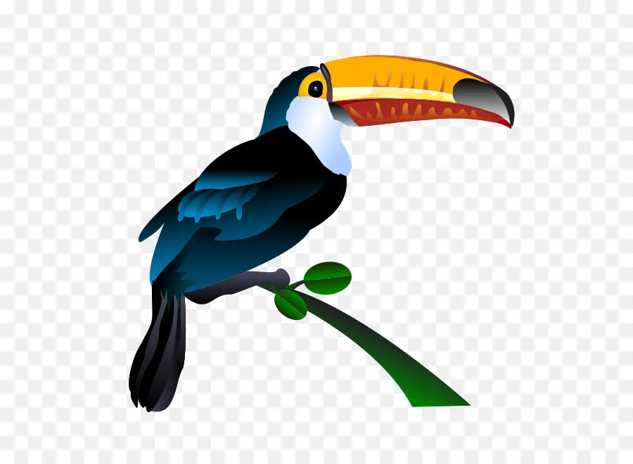 Toucan，มีสีสัน PNG