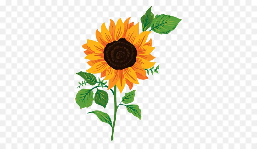 เหมือนกัน Sunflower，วาด PNG