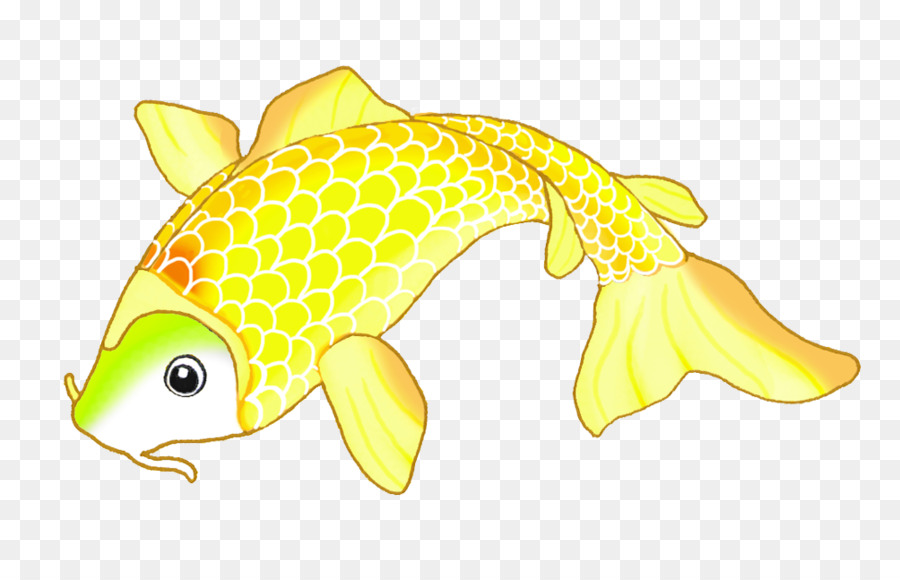 ปลา，อาหารทะเล PNG
