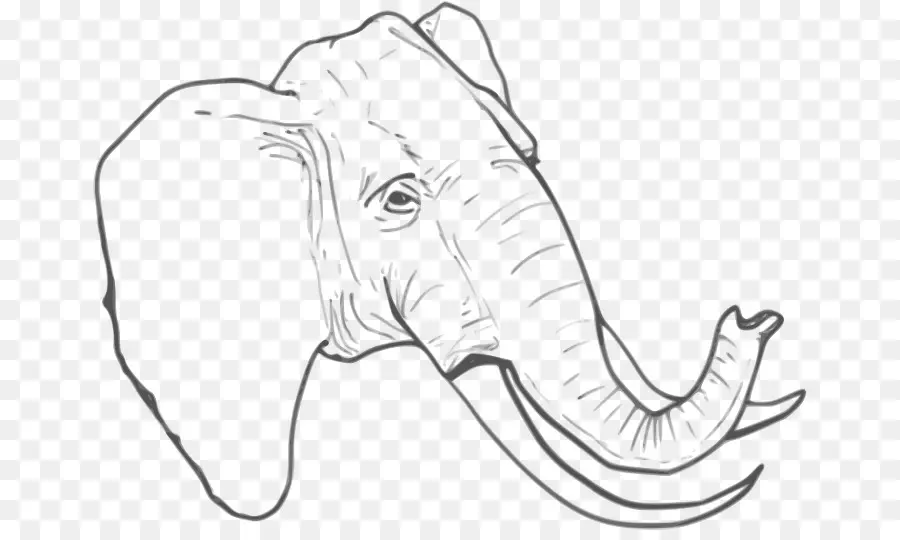 ช้าง，วาด PNG