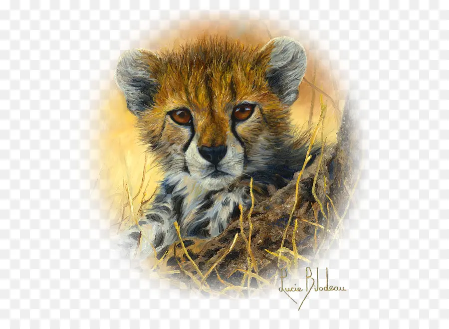 เลเยอร์，แอฟริกาใต้ Cheetah PNG