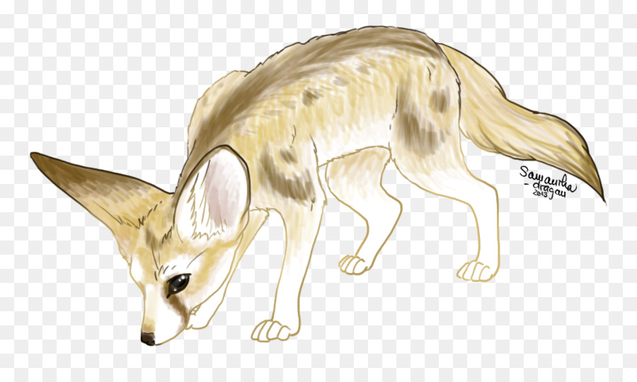 การวาดภาพ，Macropodidae PNG