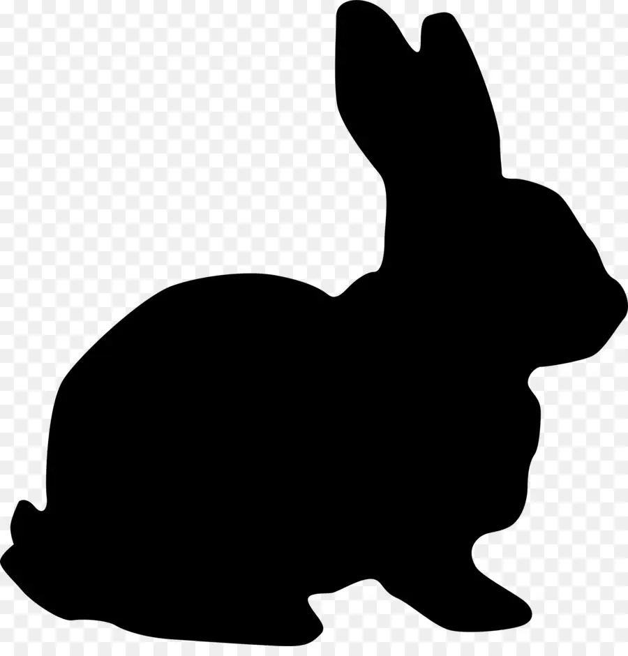 Jackrabbit สีดำหาง，กระต่าย PNG