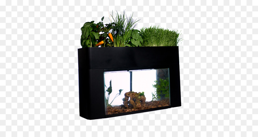 สวน，Aquaponics PNG