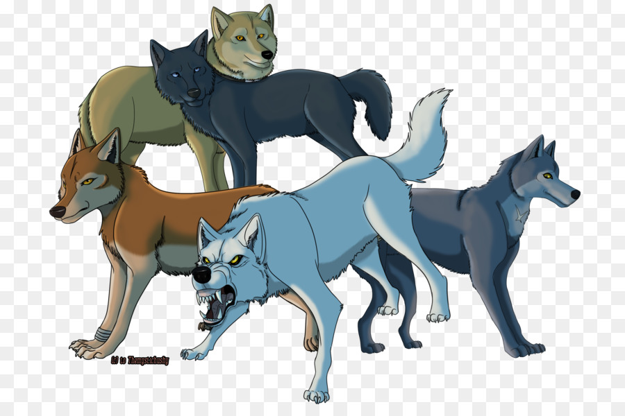 สุนัข Shikoku，Saarloos Wolfdog PNG