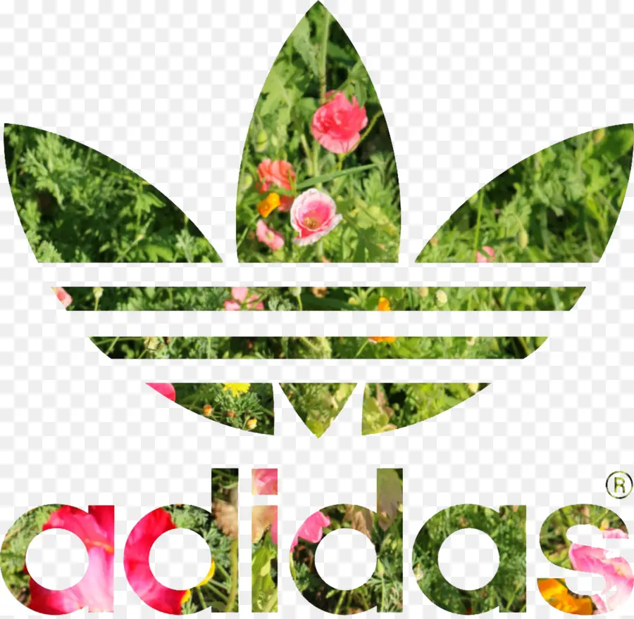 โลโก้ Adidas，กีฬา PNG