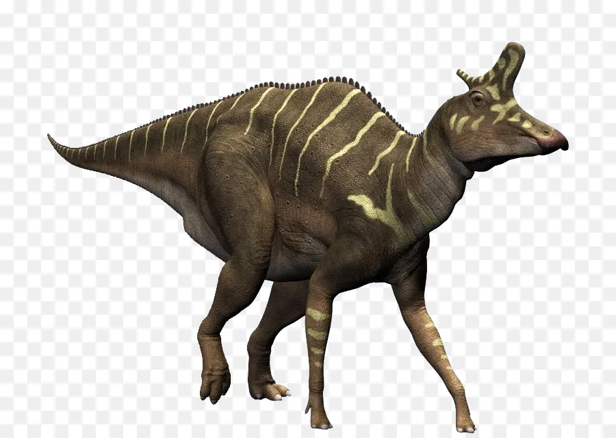 Triceratops，ก่อนประวัติศาสตร์ PNG