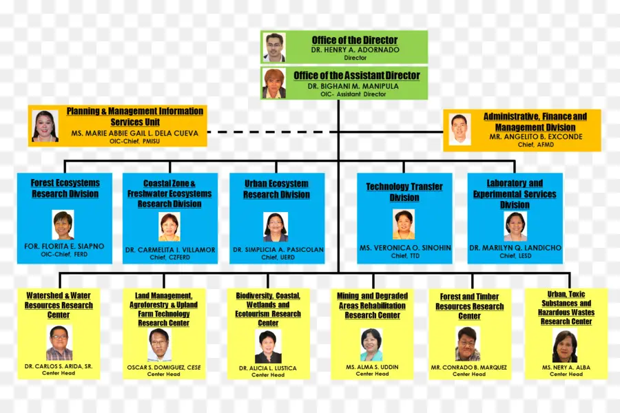 แผนภูมิองค์กร，โครงสร้าง PNG