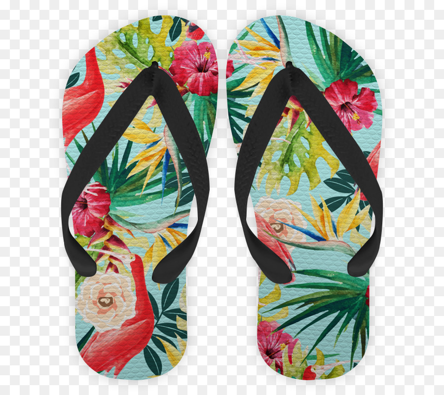 Flipflops，รองเท้า PNG