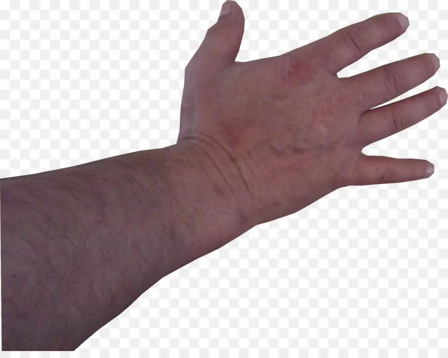 มือ，ปาล์ม PNG