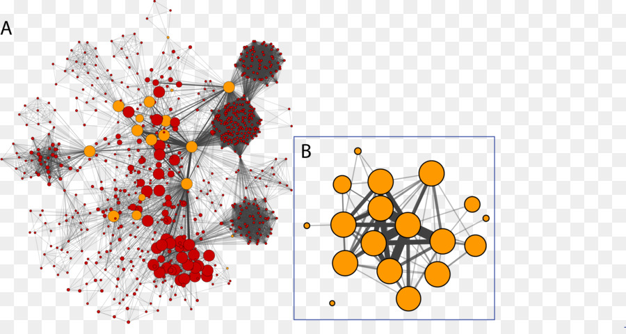 Cytoscape，เครือข่ายทางสังคม PNG