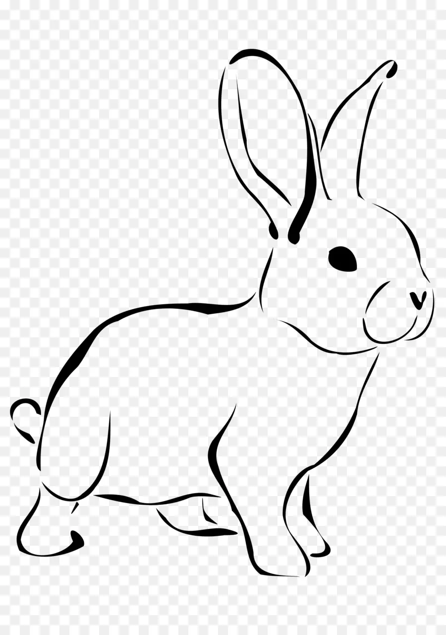กระต่ายอีสเตอร์，กระต่ายสีขาว PNG