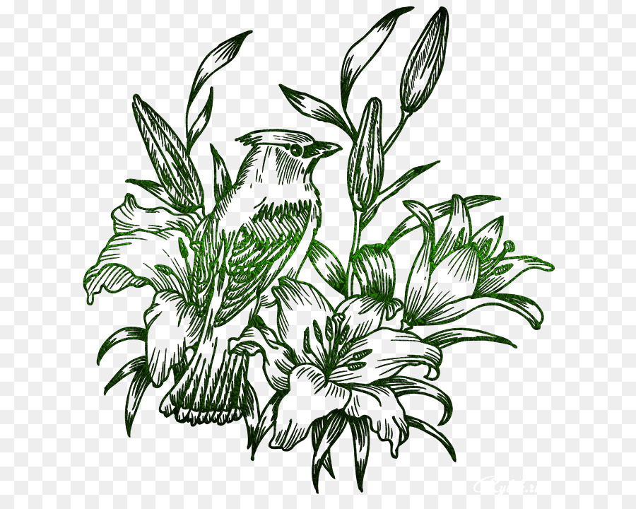 Birdandflower ภาพวาด，วาด PNG
