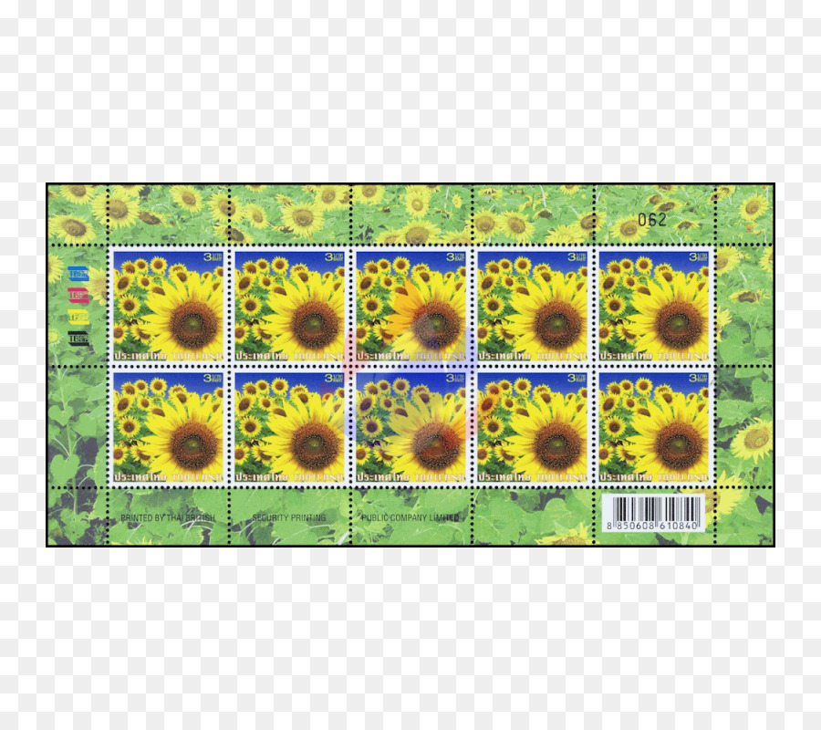 เหมือนกัน Sunflower，Postage ประทับต PNG