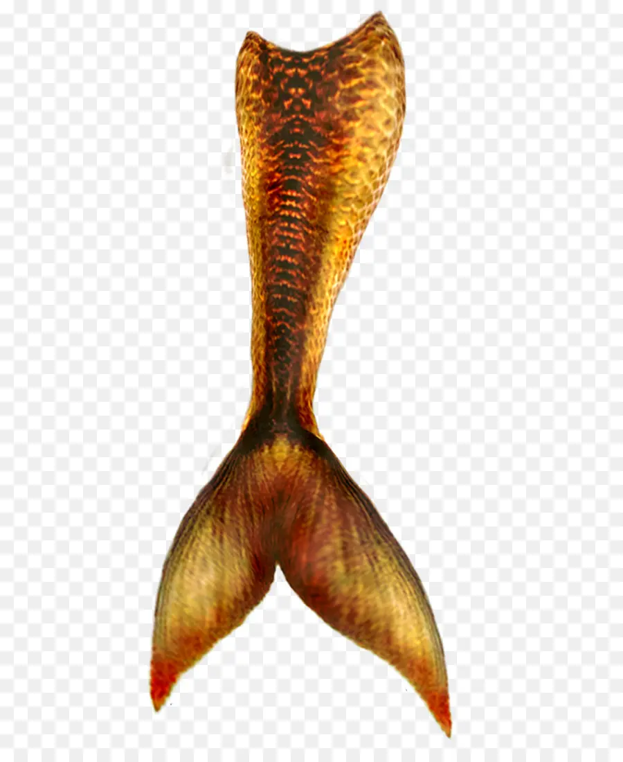 นางเงือ，Merman PNG