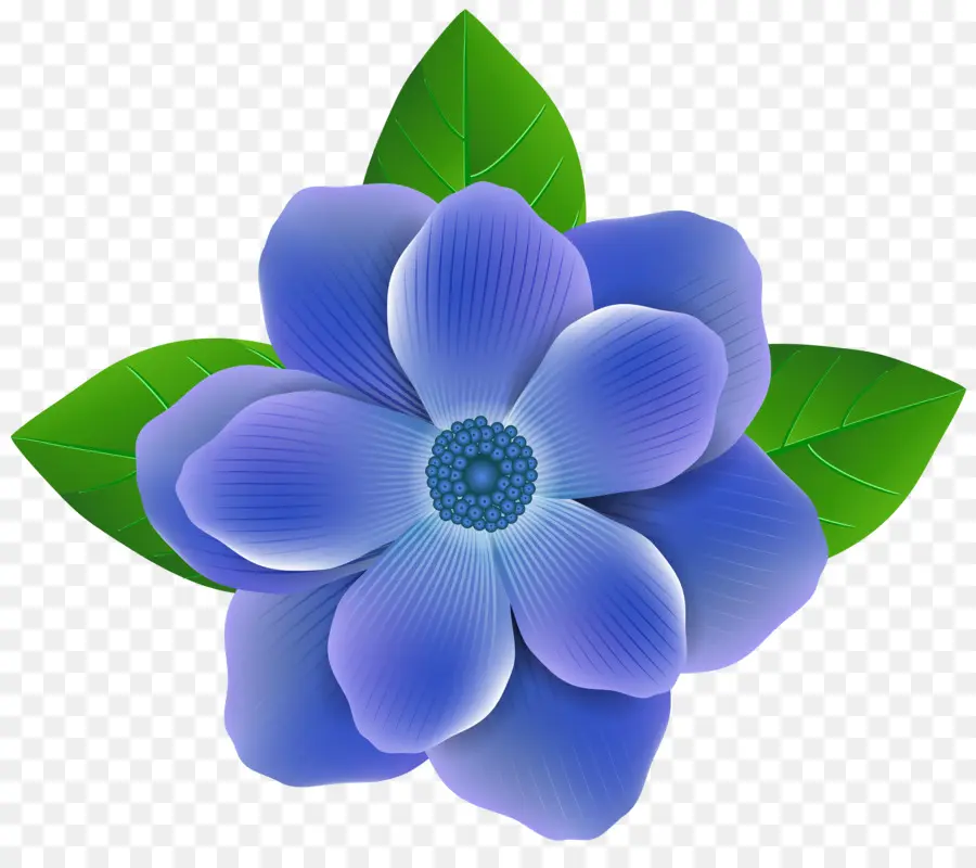สีน้ำเงิน，ดอกไม้ PNG