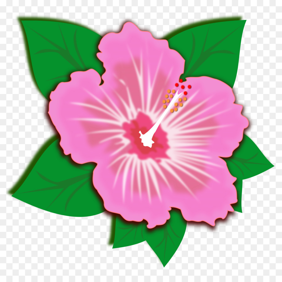 รียญมันเลยไม่พาฉันไปส่，ดอกไม้สีชมพู PNG