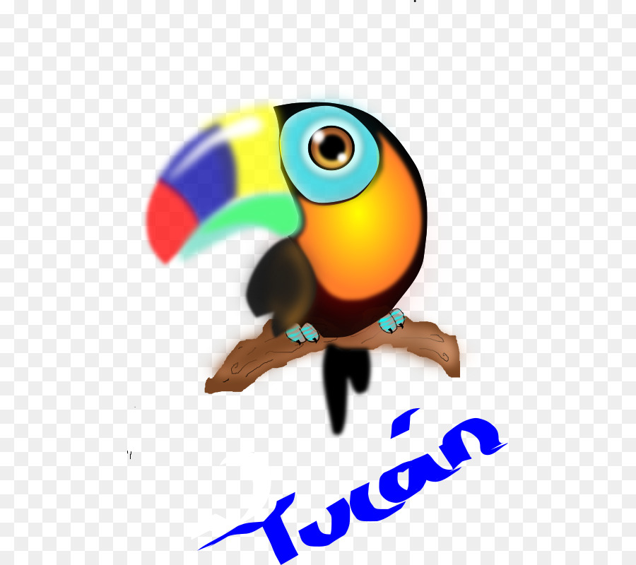 Toucan，นก PNG