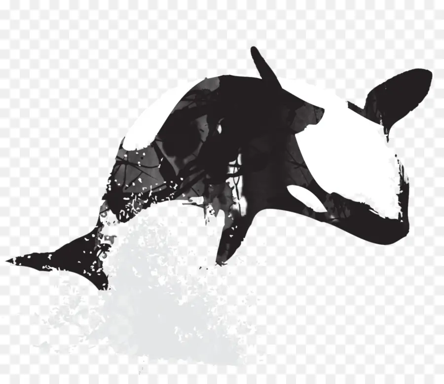 ฆาตรกรวาฬ，วาฬ PNG