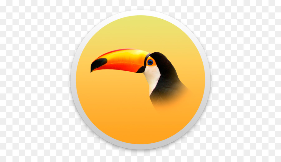 นก，Toucan PNG