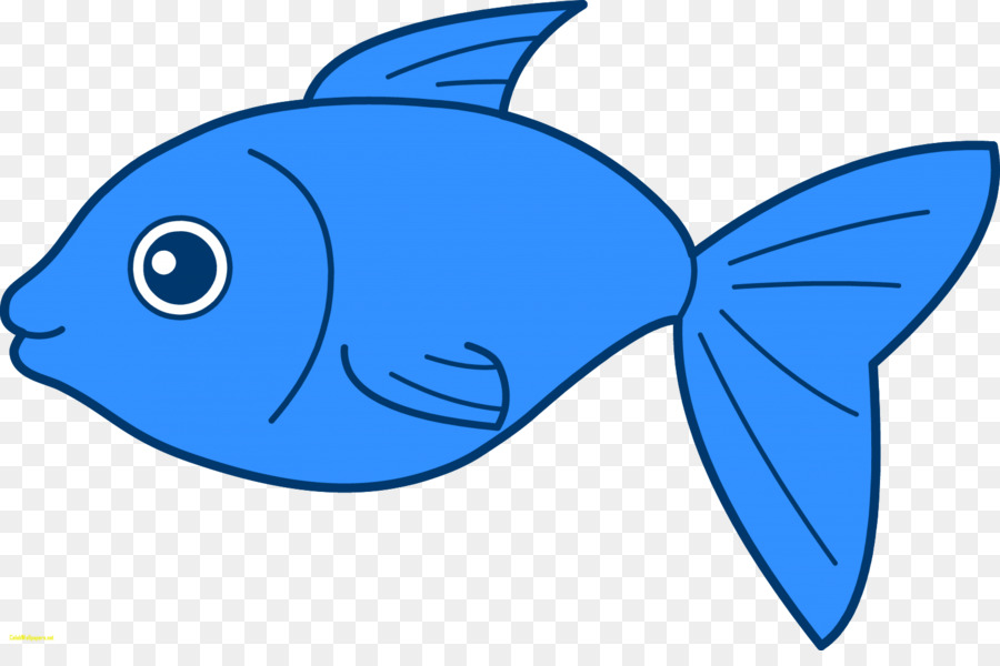 ปลา，วาด PNG
